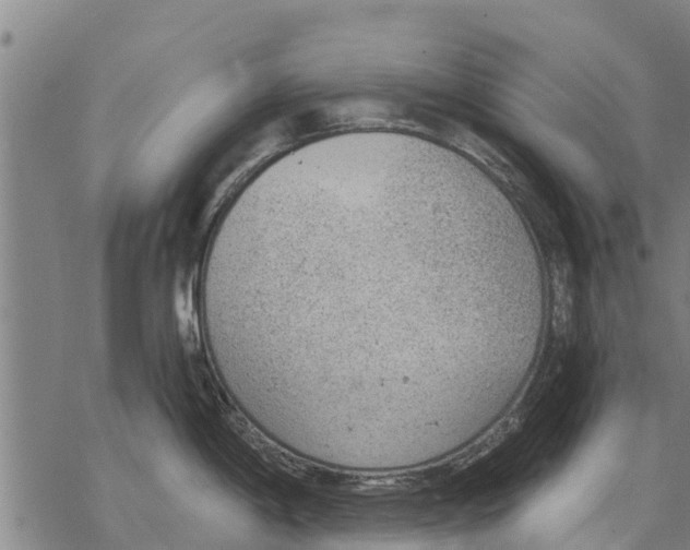 X0000068831198200605261608