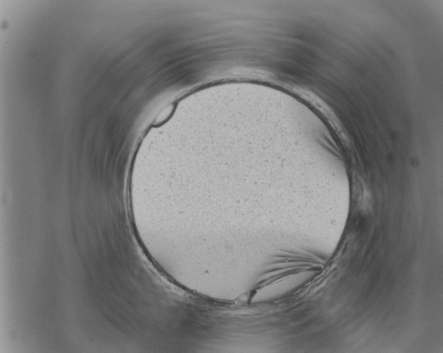 X0000068831199200605261607