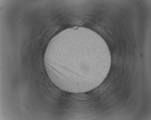 X0000068831201200605261607