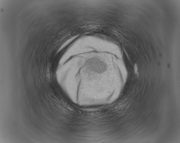 X0000068831203200605261607