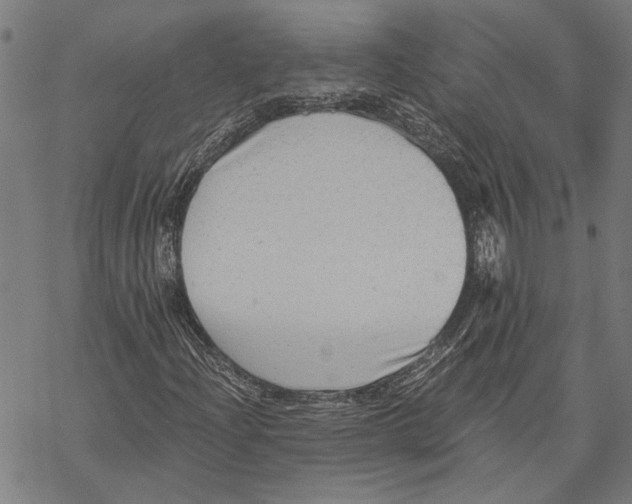 X0000068831204200605261607