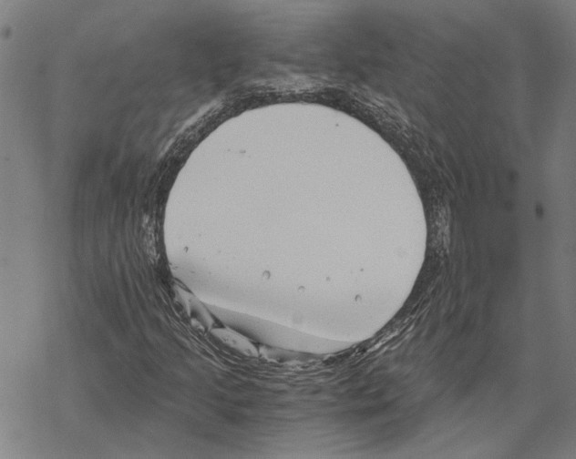 X0000068831205200605261607