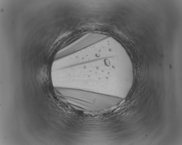 X0000068831206200605261607