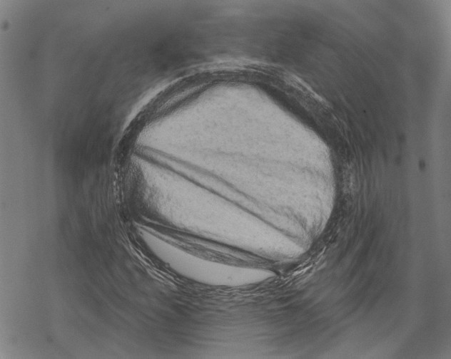 X0000068831208200605261607