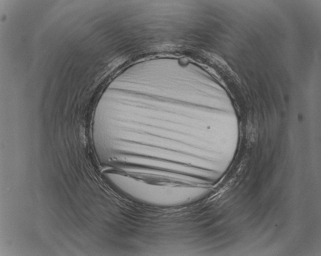 X0000068831209200605261607