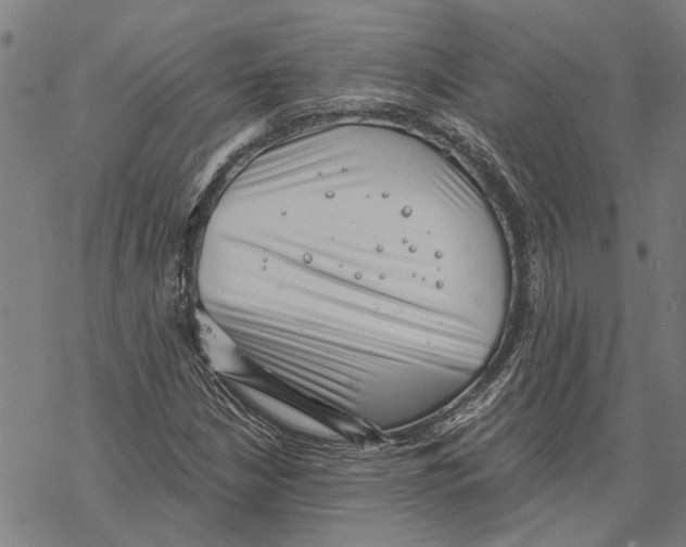 X0000068831210200605261607