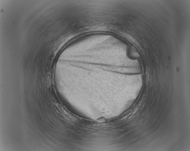 X0000068831212200605261607