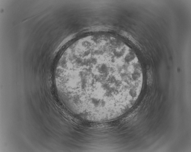 X0000068831213200605261607