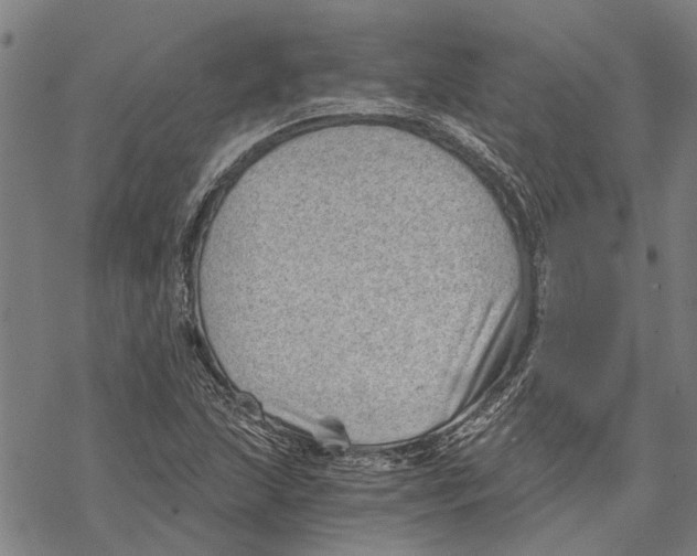 X0000068831215200605261607