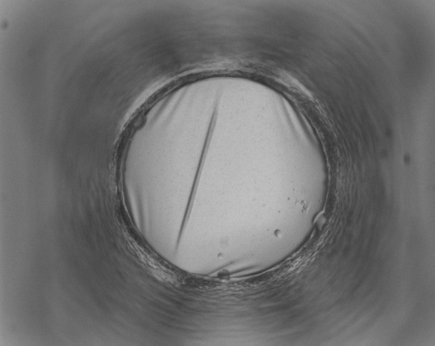 X0000068831216200605261607