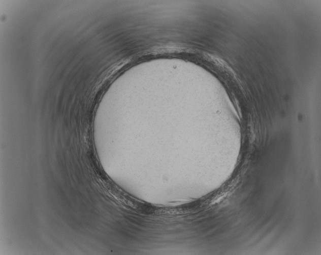 X0000068831217200605261607