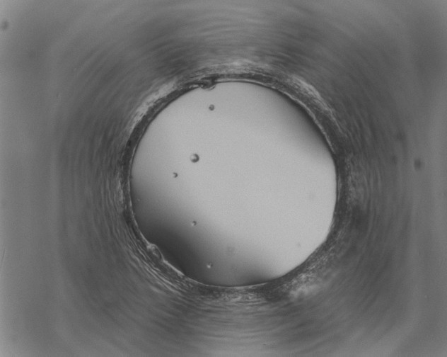 X0000068831218200605261607