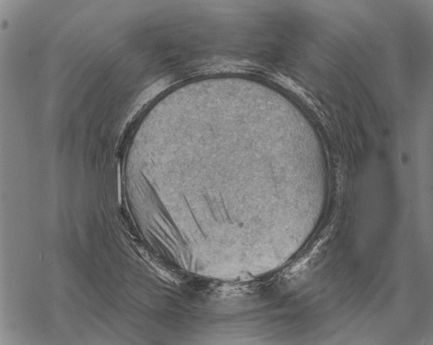 X0000068831219200605261607