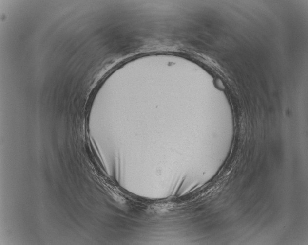 X0000068831220200605261607