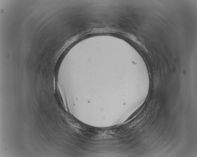 X0000068831221200605261607