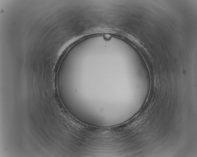 X0000068831222200605261607