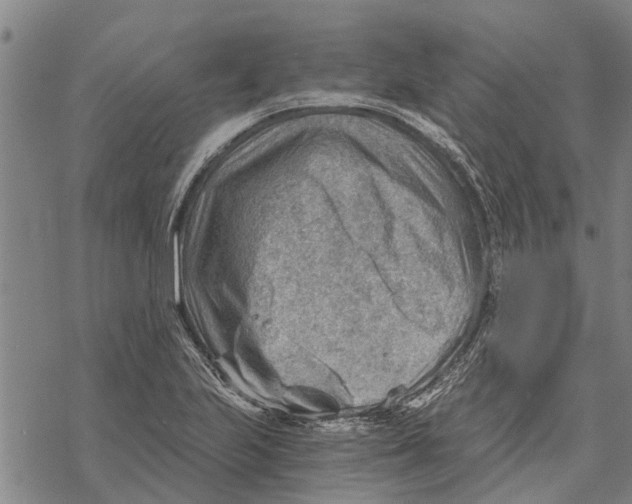 X0000068831223200605261607