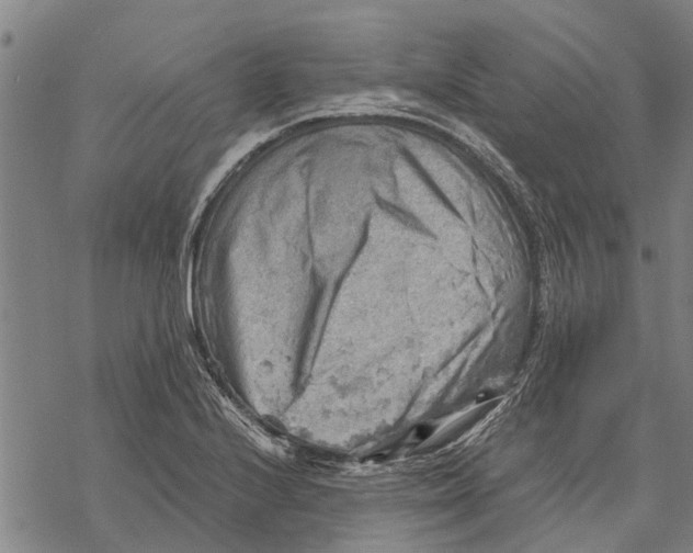 X0000068831224200605261607