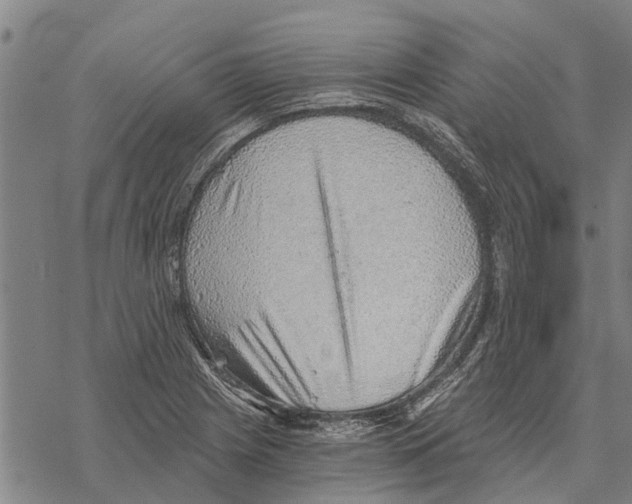 X0000068831225200605261607