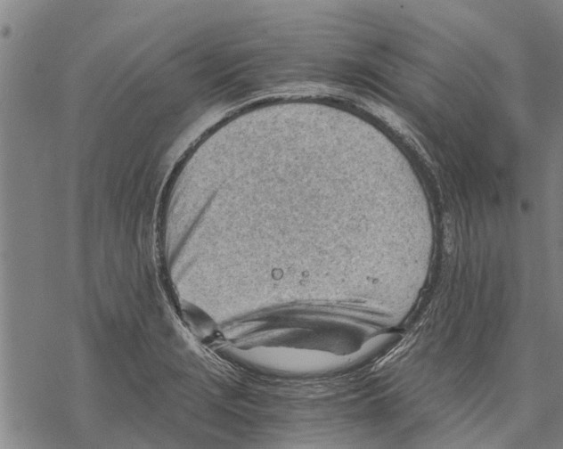 X0000068831229200605261607