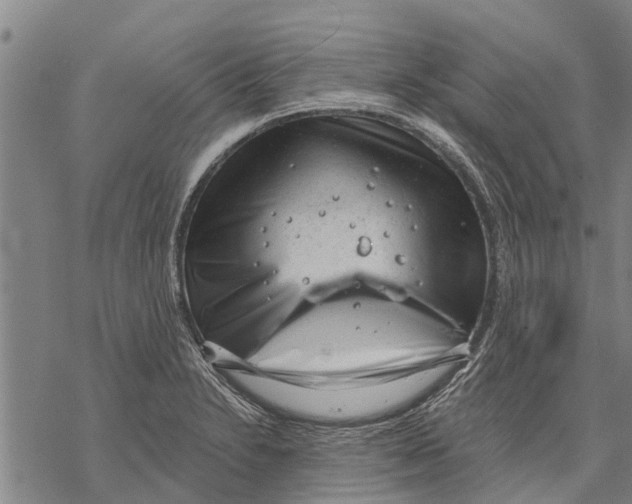 X0000068831230200605261607