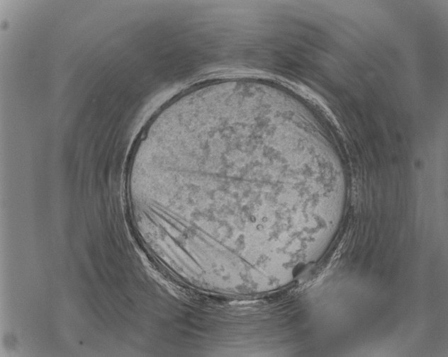 X0000068831231200605261607