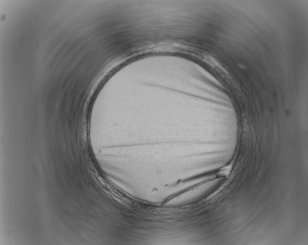 X0000068831232200605261607