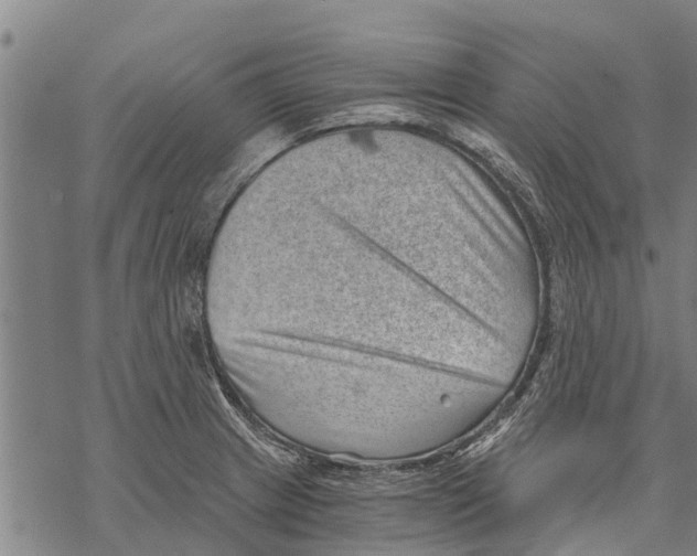 X0000068831233200605261607