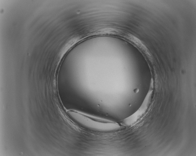 X0000068831234200605261607