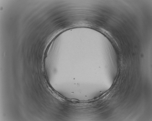 X0000068831236200605261607