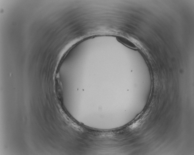 X0000068831238200605261607