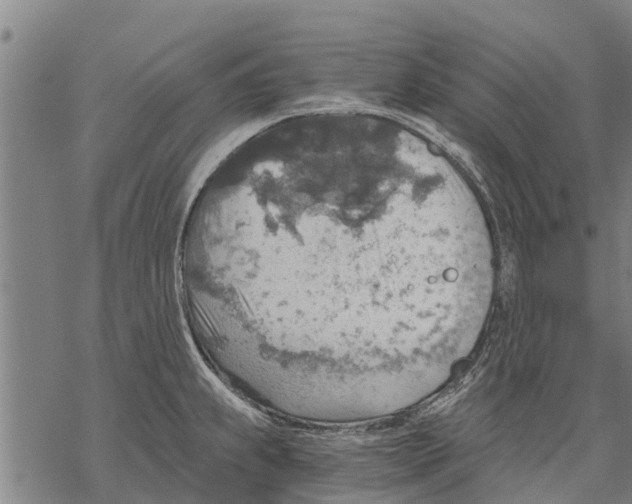 X0000068831239200605261607