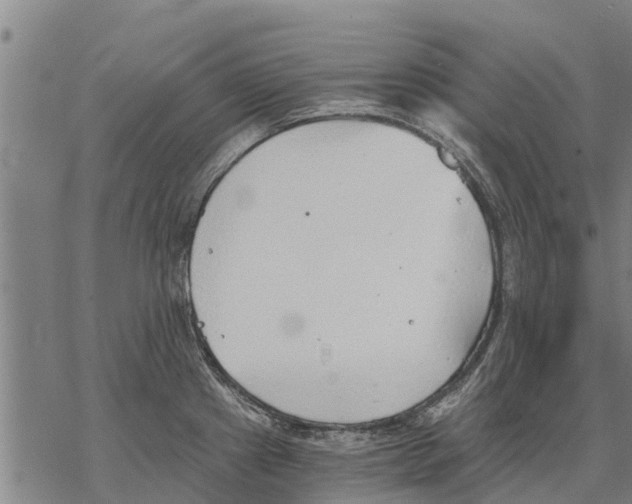 X0000068831241200605261607