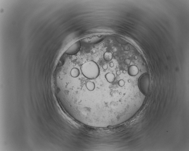 X0000068831243200605261607