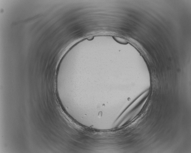 X0000068831244200605261607