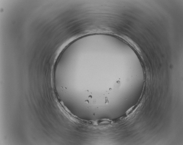 X0000068831246200605261607