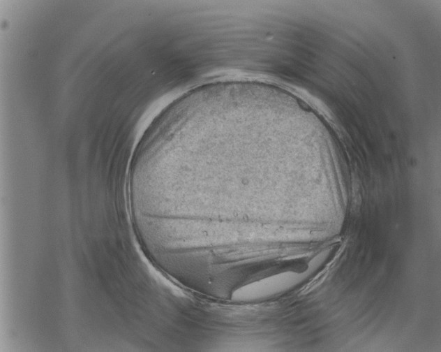 X0000068831247200605261607