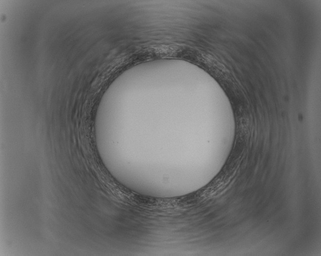 X0000068831249200605261607