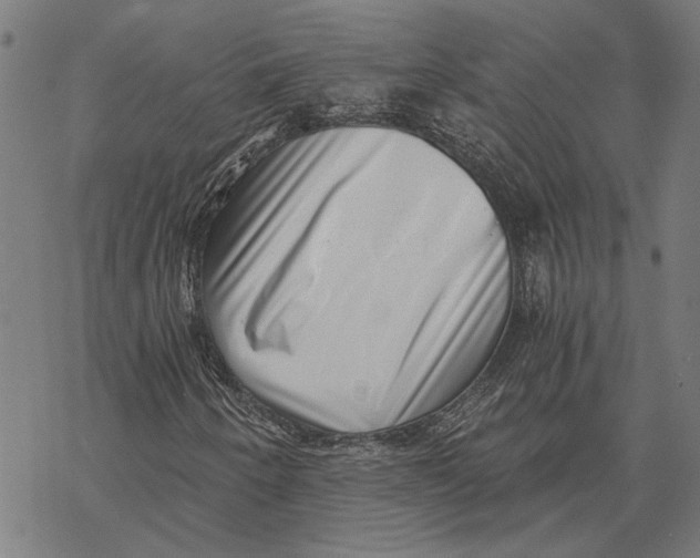 X0000068831250200605261607