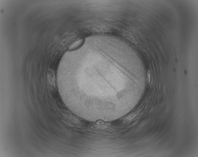 X0000068831251200605261607