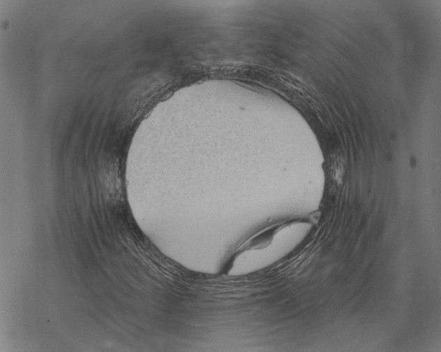 X0000068831252200605261607