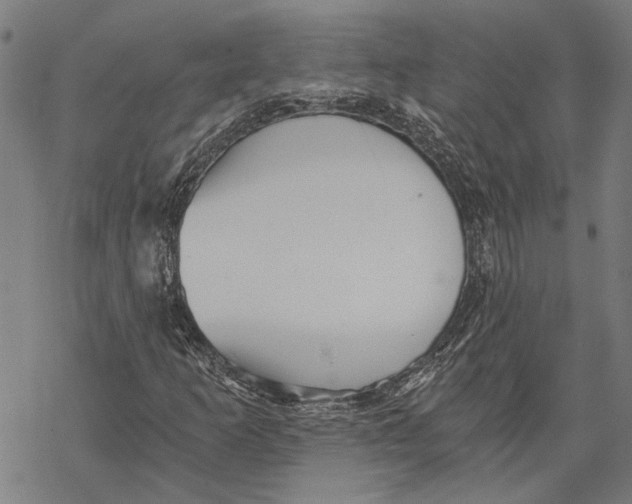 X0000068831253200605261607