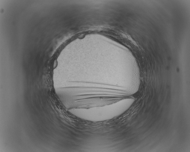 X0000068831256200605261607