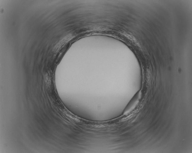 X0000068831257200605261607