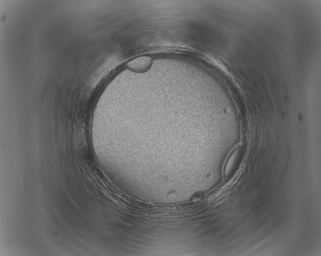 X0000068831259200605261607