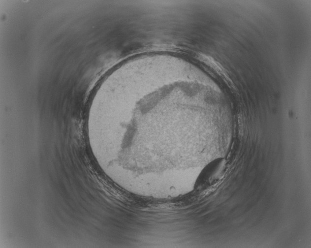 X0000068831260200605261607