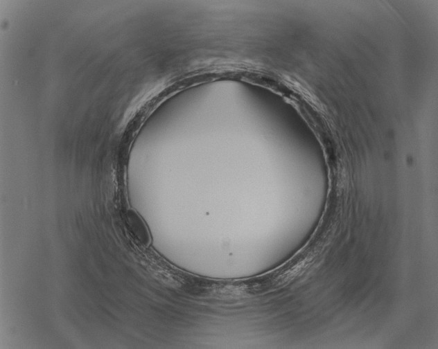 X0000068831261200605261606