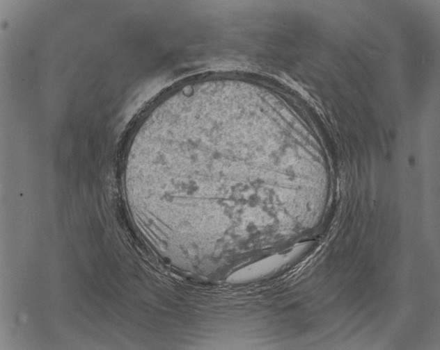 X0000068831263200605261606