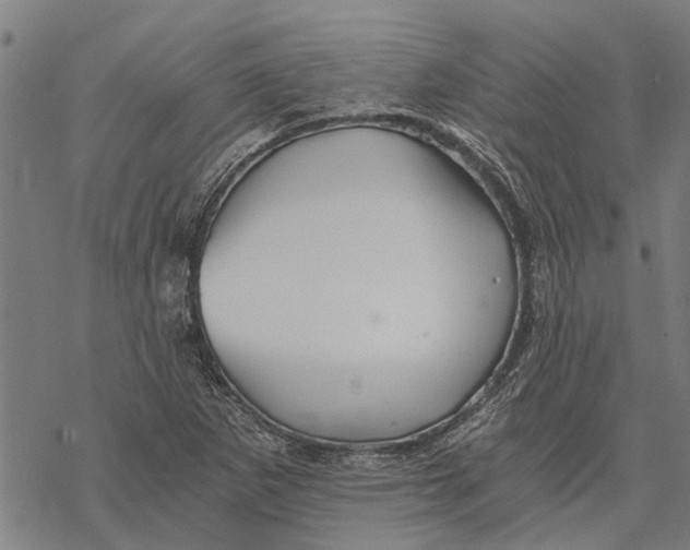 X0000068831265200605261606