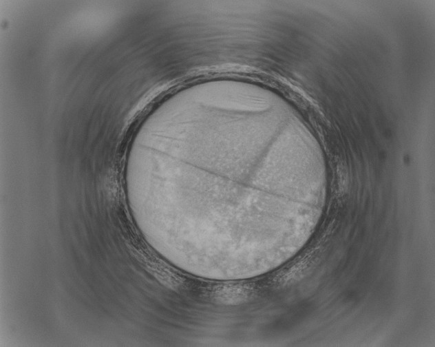 X0000068831266200605261606